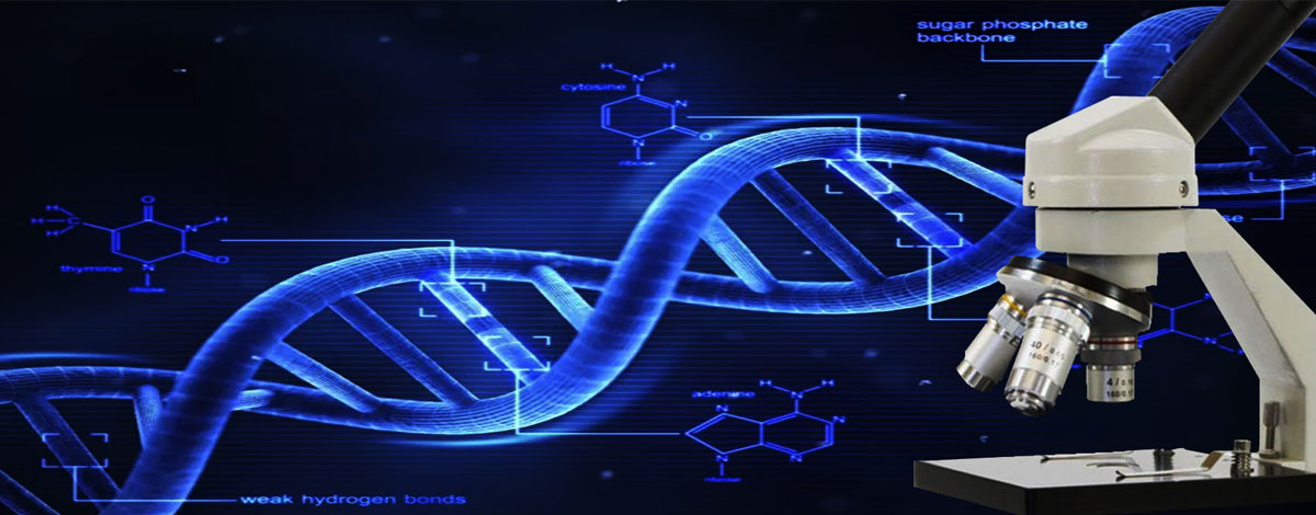 Optical Products in  Biotechnology