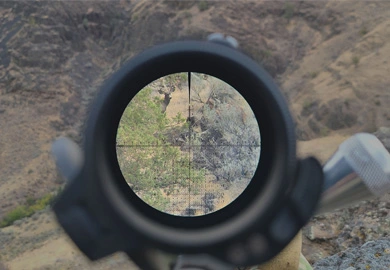 The Optical Reticle