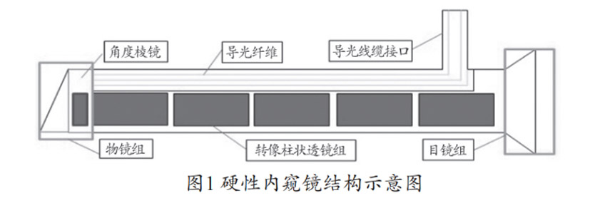 Rigid-Endoscopy-Structure-and-Working-Principle.jpg