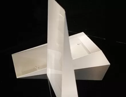 Anamorphic Prism