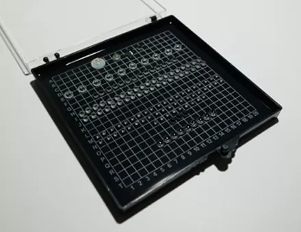 Micro Lens