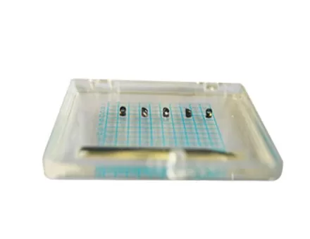 Micro Prism