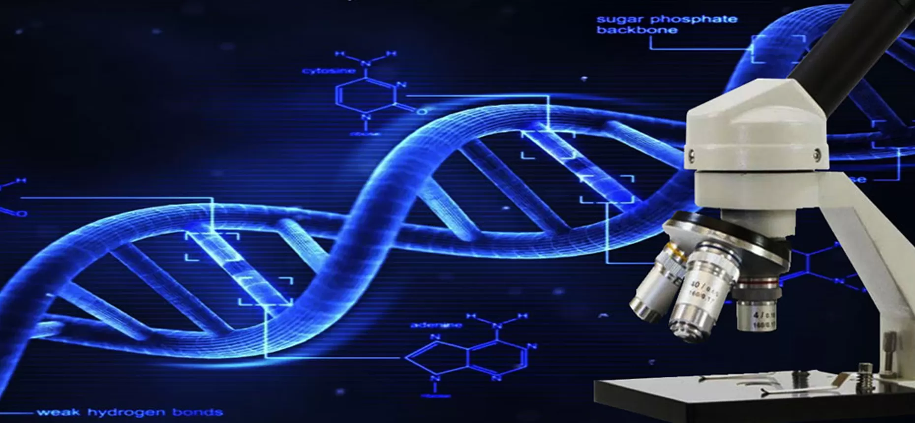 Optical Lens Application Served for Biotechnology