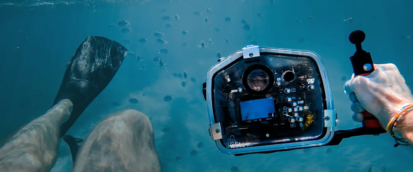 Underwater Photography and Detection: