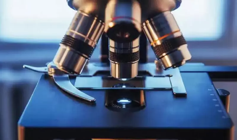 Main Performance Parameters of Microscope