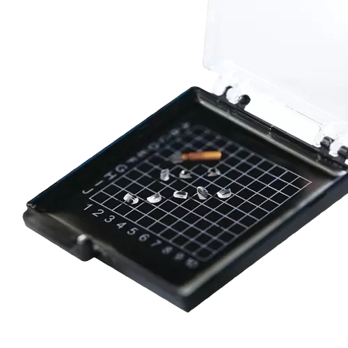 Lumbar Percutaneous Endoscopy